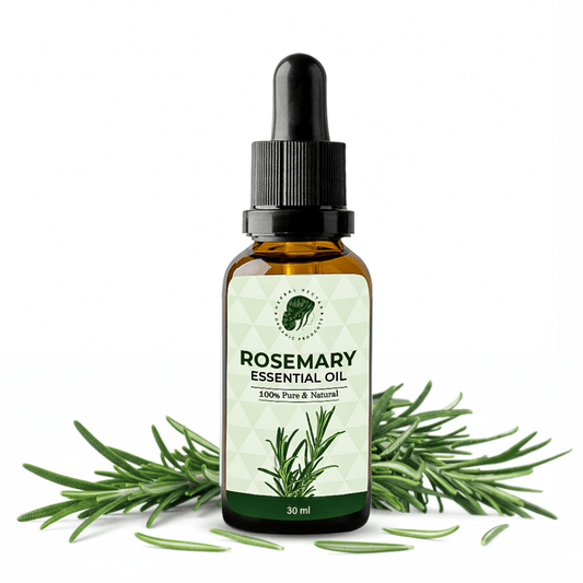 Rosemary Essential Oil - Herbal Nectar